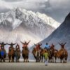 🏞️🎭 Explore India: 10 Cities Packed with Adventure and Rich Culture