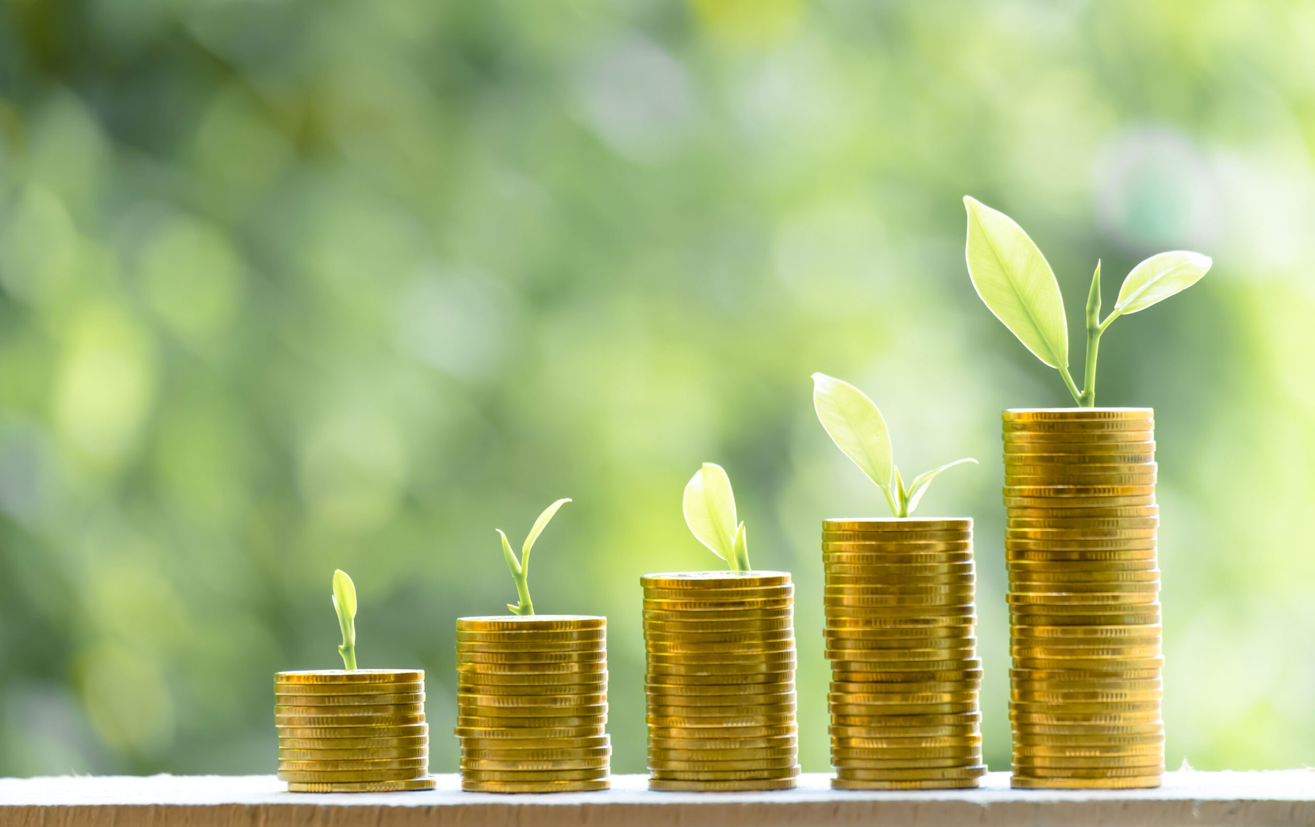 💰 Sovereign Green Bonds 2.0: India’s Eco-Investment Boom