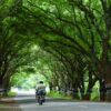 🌟 Ultimate Budget-Friendly Travel Guide to Pollachi, Tamil Nadu – 3-Day Itinerary with Top Tourist…