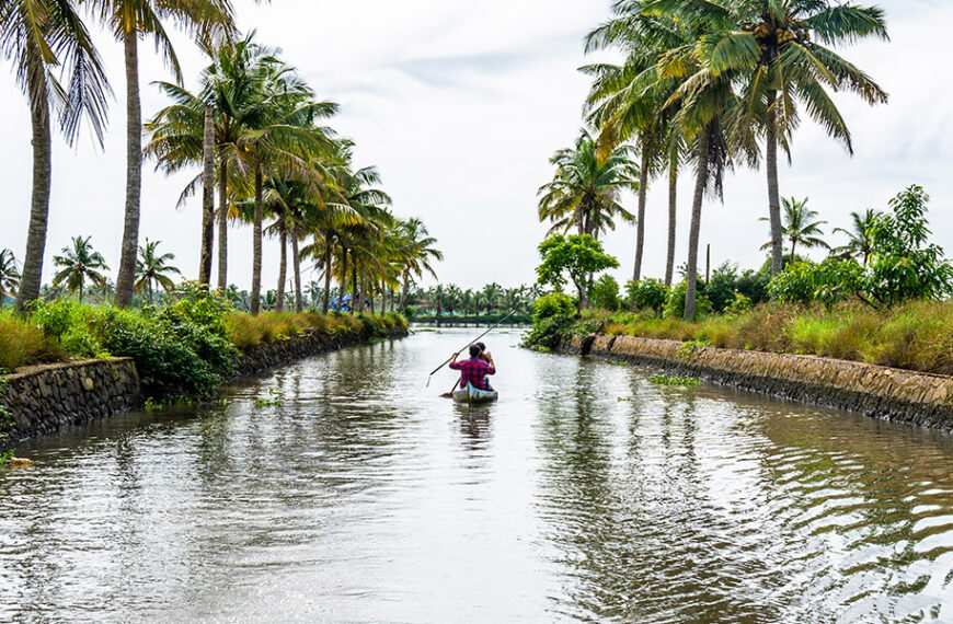 🌿 Kadamakuzhi Island Escape 🌅 | Kochi’s Hidden Paradise for Nature & Peace Lovers