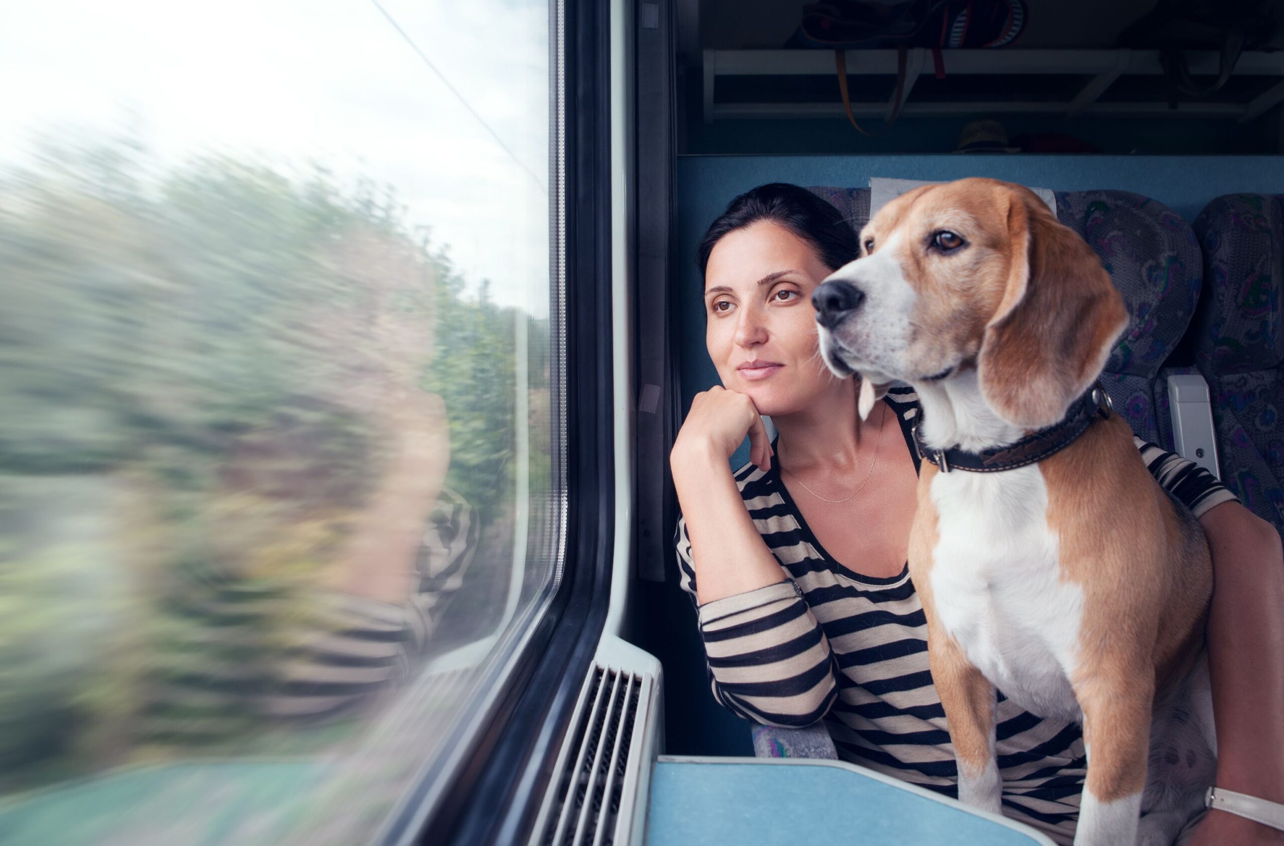 🐕‍🦺🧳Train Travel with Pets in India: Rules, Tips & Booking Hacks You Need!