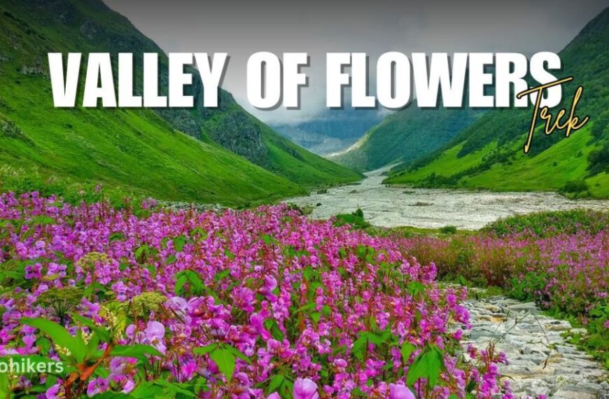 🏞️Monsoon Magic in Uttarakhand: Valley of Flowers at Its Peak in August