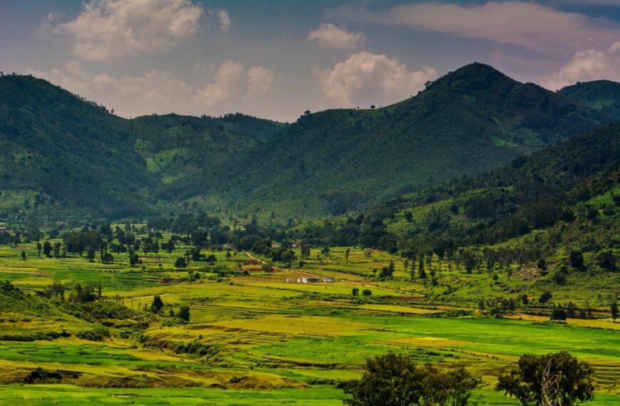 7 Hill Stations in Andhra Pradesh for a Quick, Refreshing Trip
