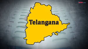 🏦 Telangana Tops State Per Capita Income Chart