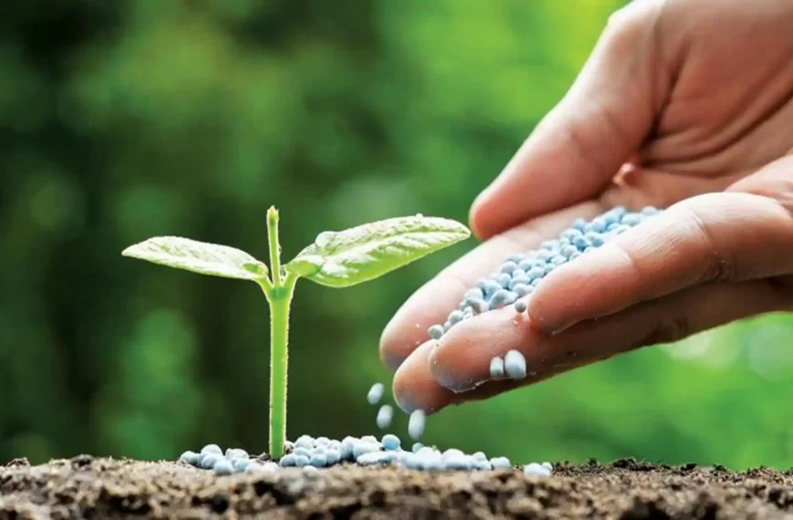 🔋 India’s Indigenous Water-Soluble Fertiliser Breakthrough