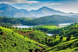 4-Day Luxury Nature Escape: Thekkady – Idukki – Kumily – Theni 🏞️🚗
