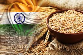 Technology Adoption and Improved Seed Varieties Boost India’s Wheat & Rice Production